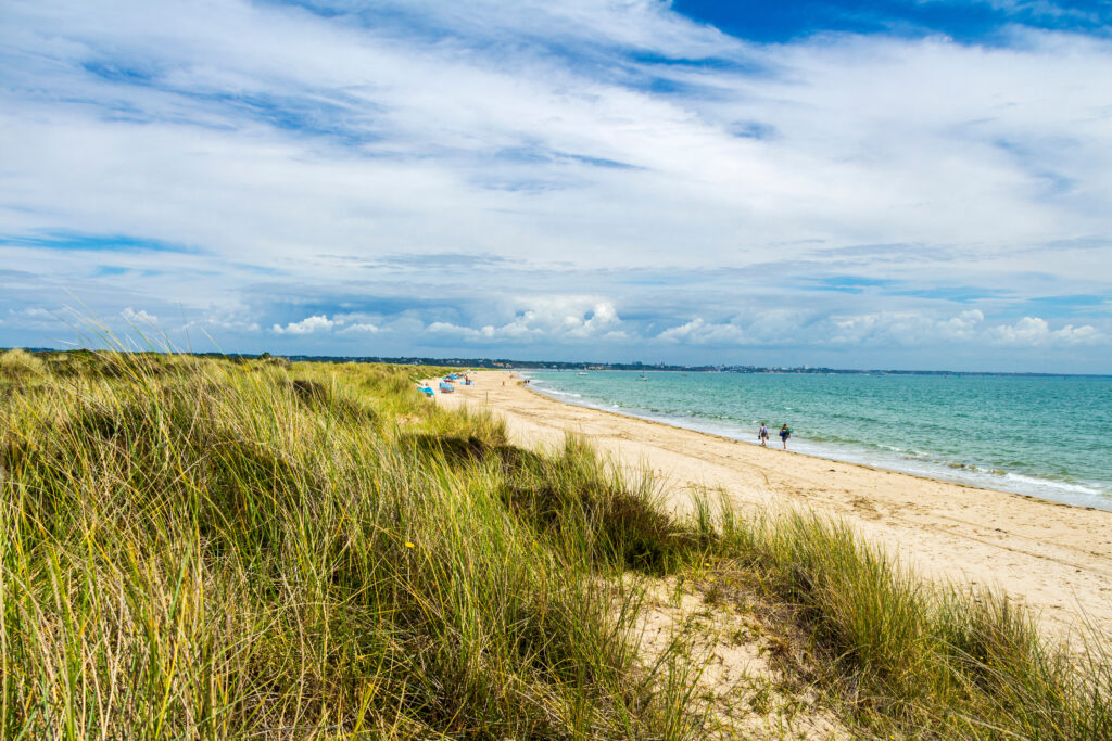 Long beach grass and white sandy beach on a sunny day with two people walking in the distance. 
