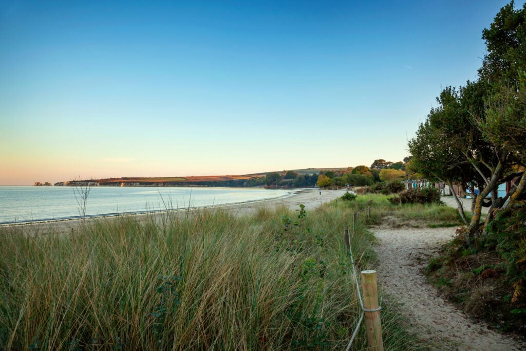 Grass in the foreground and a long sandy beach in the background with Old Harry Rocks chalk stacks in the sea in the distance, taken at dusk.