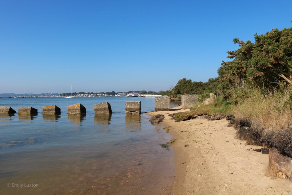 Small strip of sandy beach next to a shallow bay with square rocks lined up in the bay as a breaker and gorse bushes to the right of the beach