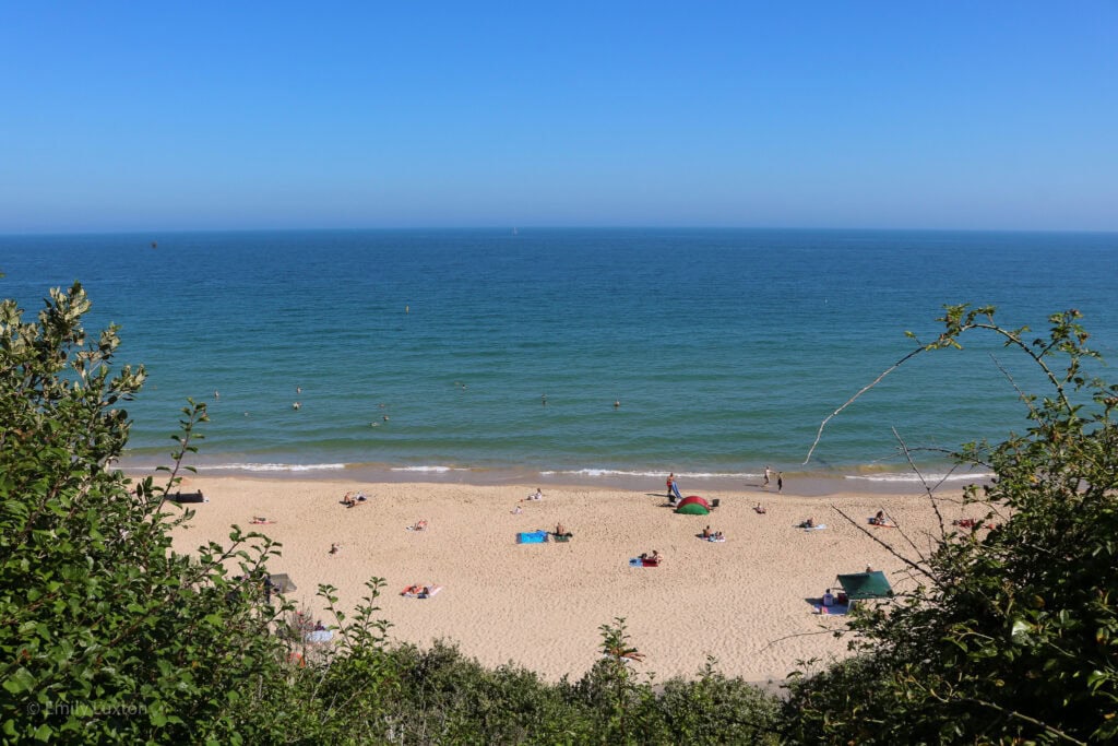 Looking down at a white sandy beach and bright blue sea with various people laying on the sand. There is a green leafy bush in the foreground and clear blue sky overhead. Canford Cliffs Beach Poole. 