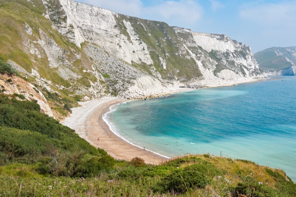 Looking down from a grassy clifftop at a curved bay with shingle beach and tall white cliffs