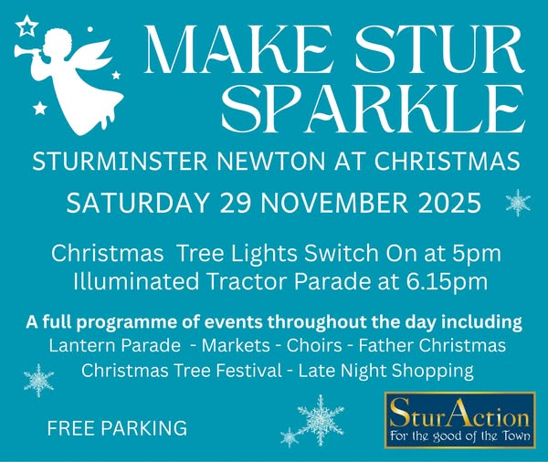 Poster for Make Stur Sparkle