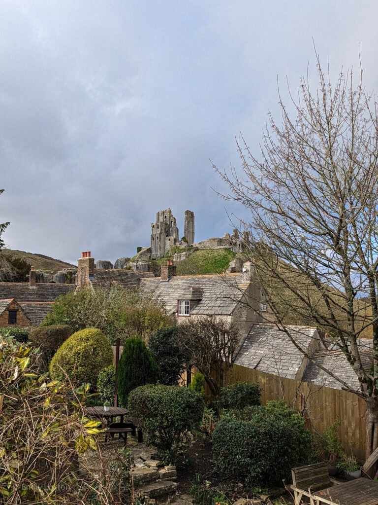 Ruins of corfe castle on a hilltop with cottages and trees in front