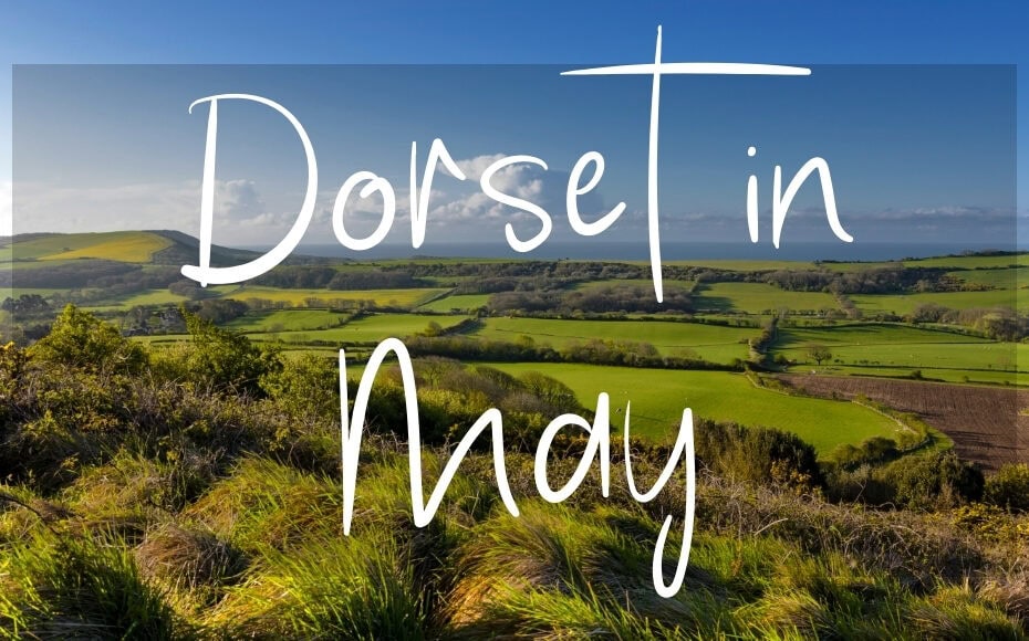Dorset in May: written in white text over a photo of green countryside in sunshine