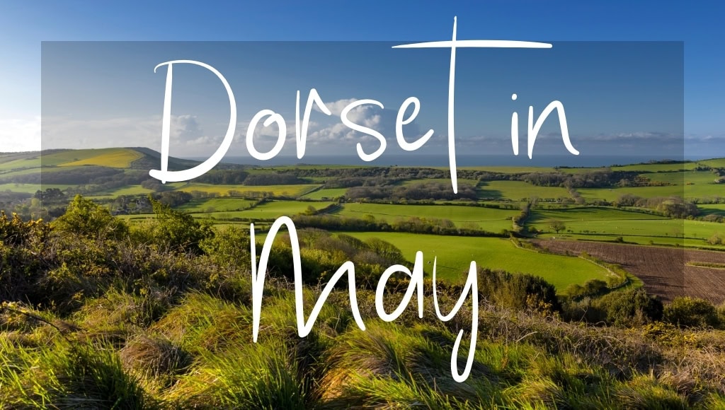 Dorset in May: written in white text over a photo of green countryside in sunshine