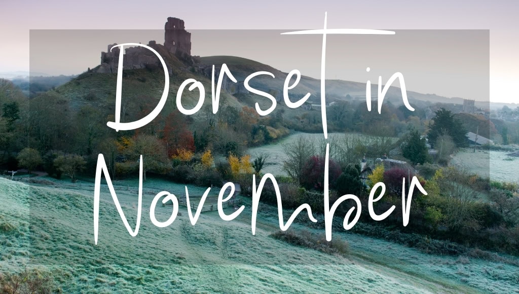 Dorset in November: written in white over a photo of castle ruins on a hilltop surrounded by frost