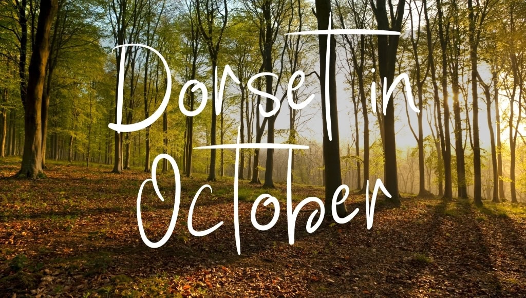 Dorset in October: written in white over a photo of a woodland in autumn with golden leaves carpeting the floor