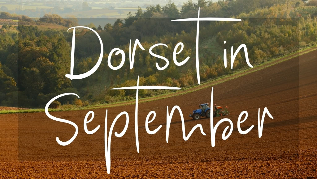 Dorset in September: written in white over a photo of a tractor ploughing a field in autumn