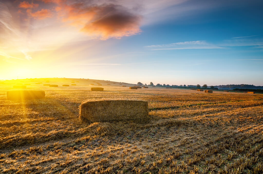 Hay bales in a field at sunrise in summer | best time to visit dorset