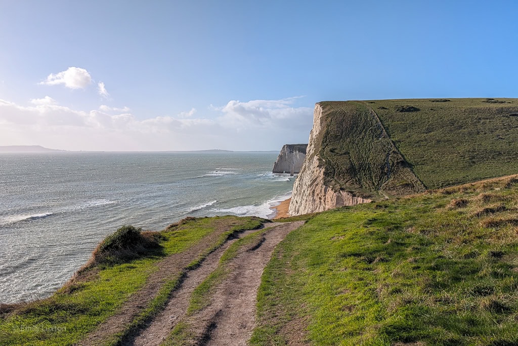 Clifftop path leading through grass with white chalk cliffs ahead