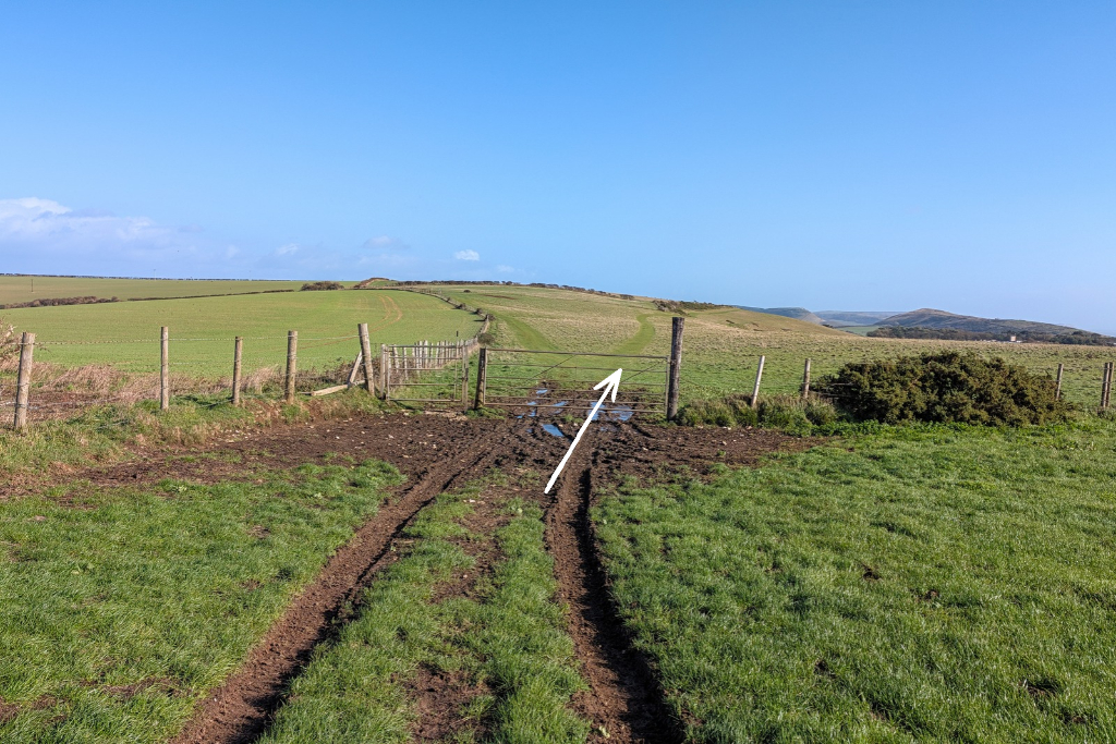 Muddy path leading through a field towards a gate