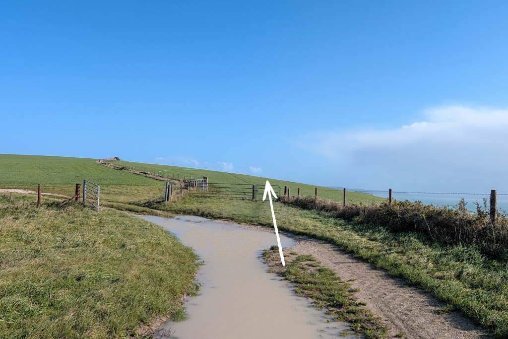 Large puddle on a dirt track in a field with a metal gate ahead | Ringstead to Durdle Door walk